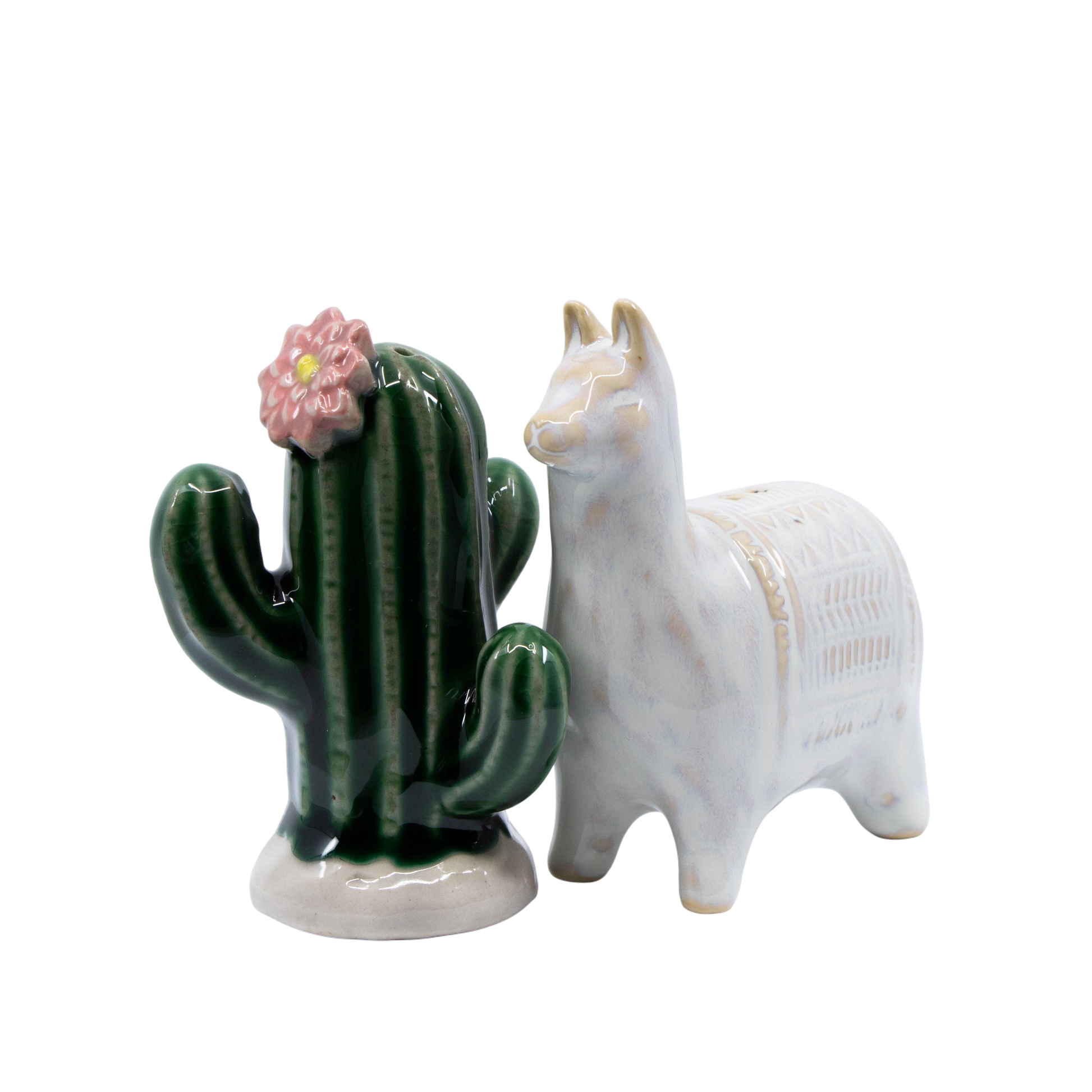 Reactive Glaze Cactus & Llama Salt & Pepper Shakers - Punch Bowl Designs
