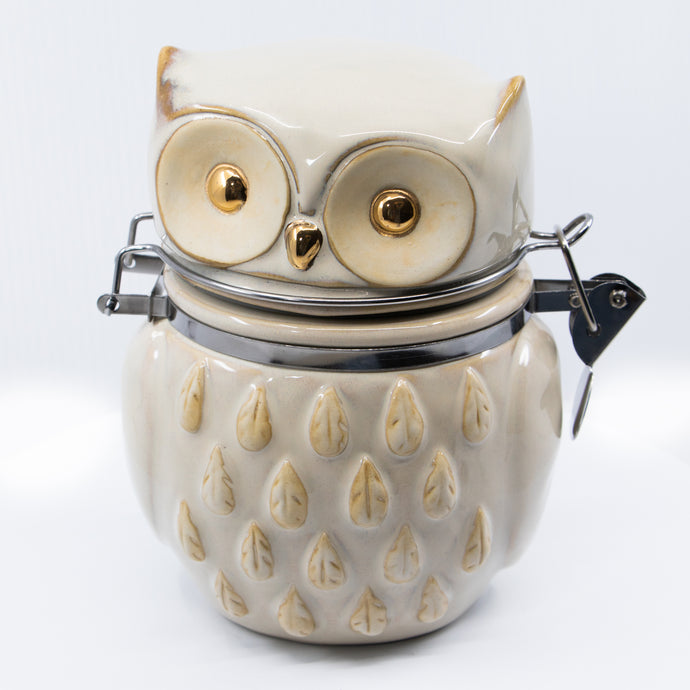 Reactive Glaze with Gold Owl Hinged Jar