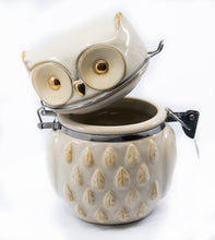 Reactive Glaze with Gold Owl Hinged Jar